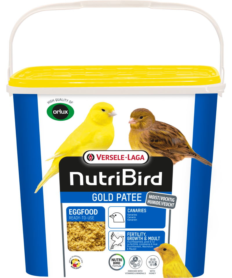Nutribird Gold Patee Canarios | Pasta de Huevo 5 kg