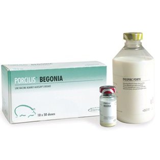 PORCILIS BEGONIA DF 500 DS (10x50 DS + DIL)