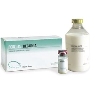 PORCILIS BEGONIA DF 500 DS (10x50 DS + DIL)