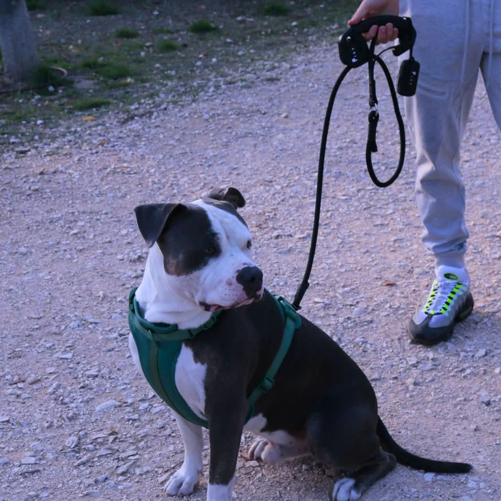 Correa Perro Premium FIXY Antitirones | Control Total y Seguridad | 1,5 m