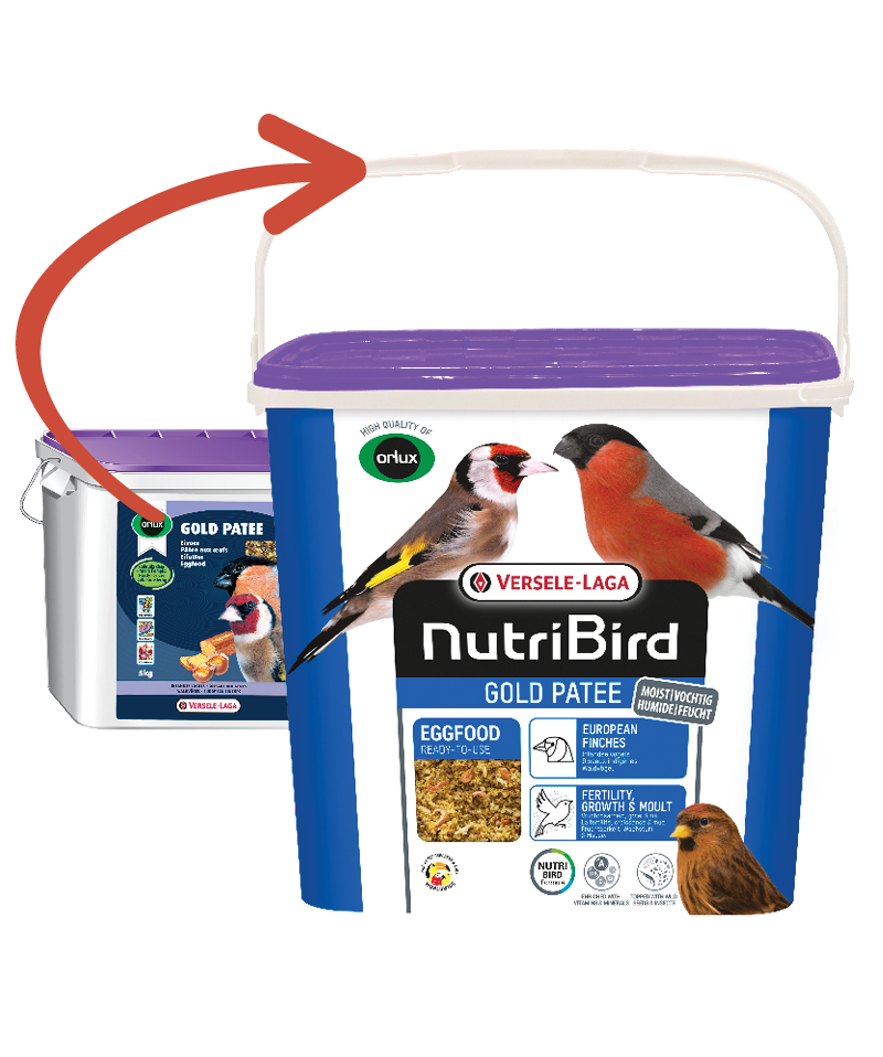Nutribird Gold Patee Aves Silvestres | Pasta de Huevo Para Aves Silvestres 5 kg