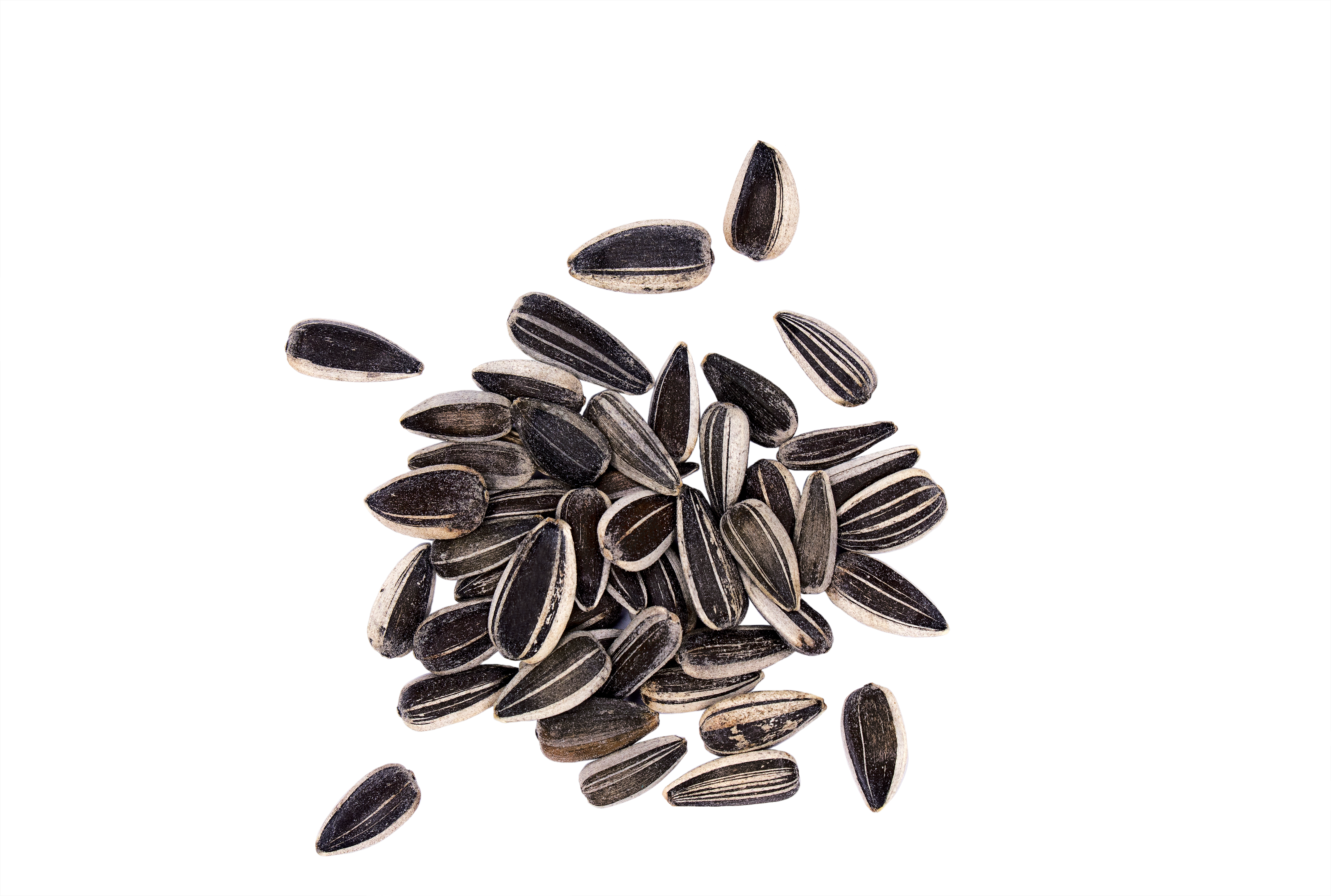 Pipas De Girasol Rayadas Para Aves 600 Gr