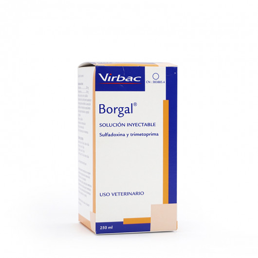 BORGAL 24% INY 250 ML