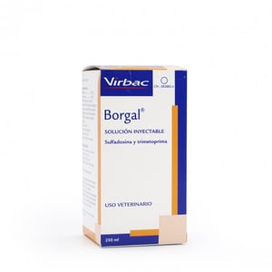 BORGAL 24% INY 250 ML