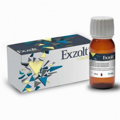 EXZOLT 10 MG/ML SOLUCION ORAL 50 ML