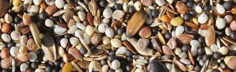 JARAD PREMIFOOD SILVESTRE PREMIUM 20 KG