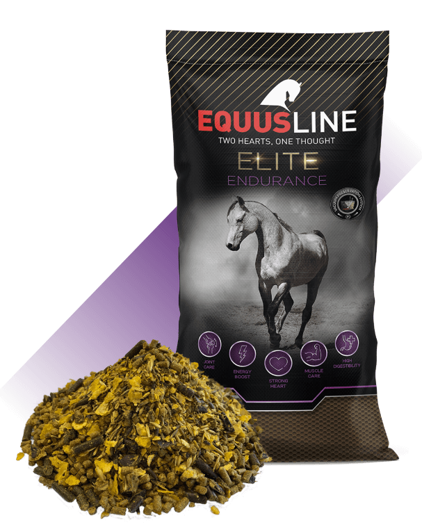 EQUUS LINE ENDURANCE MIX MS SACO 20 KG