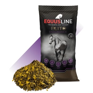 EQUUS LINE ENDURANCE MIX MS SACO 20 KG