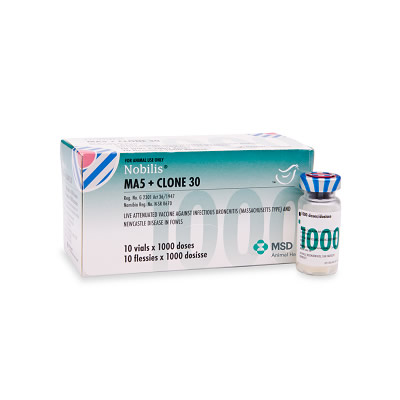 NOBILIS MA5+CLONE 30 12x1000 DS