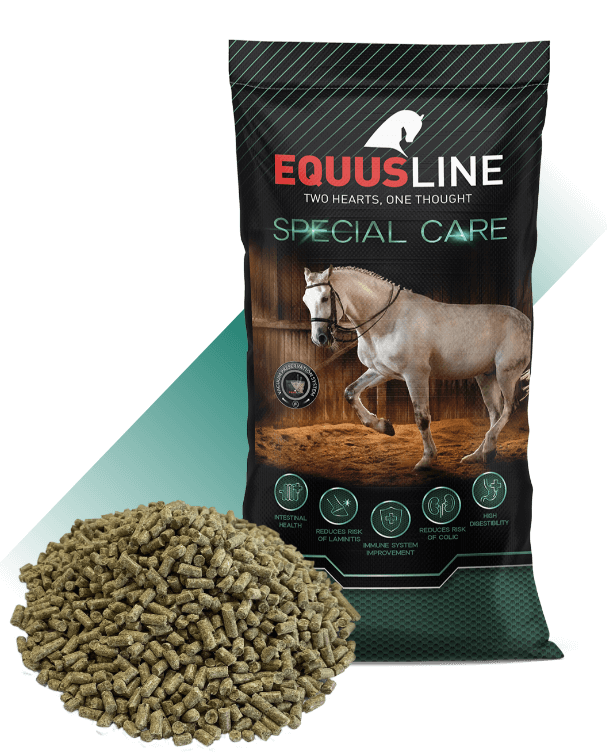 EQUUS LINE SENIOR GS SACO 20 KG