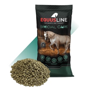EQUUS LINE SENIOR GS SACO 20 KG