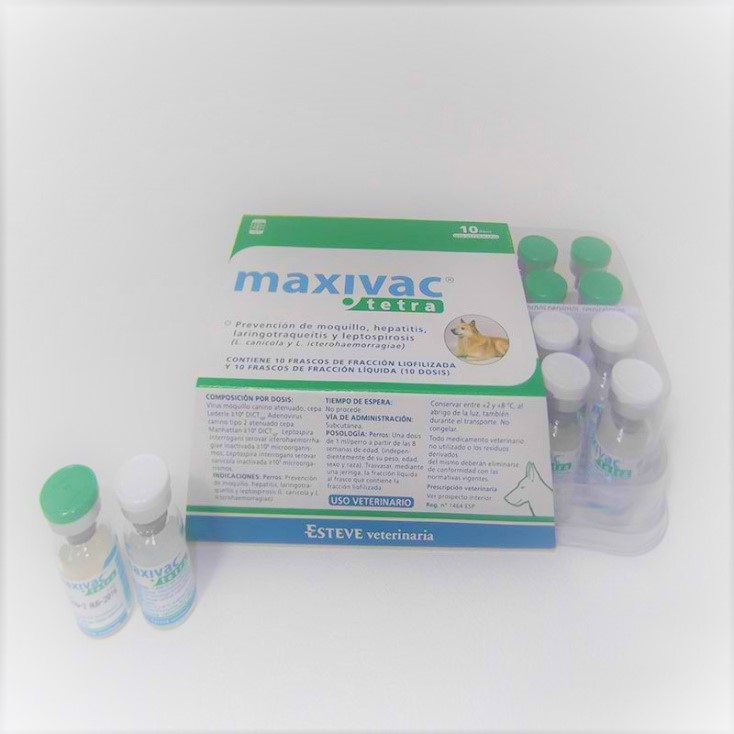 Maxivac Tetra, 10 Ds.
