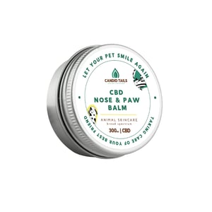 Bálsamo de CBD 300 mg para Mascotas | Cuidado Natural de la Piel – Candid Tails 30 ml
