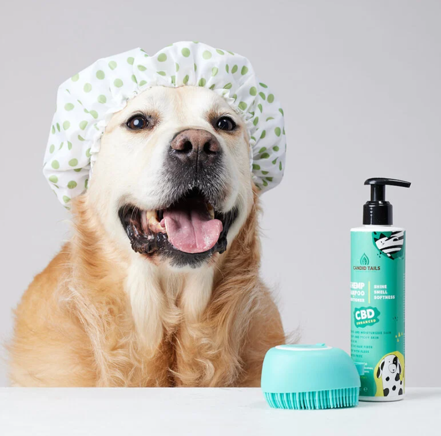 CandidTails Cepillo Masajeador con Dispensador de Champú para Perros y Mascotas – Antifrizz, Cuidado de Piel y Pelaje
