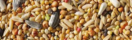 Jarad Active Mixtura Agapornis Y Ninfas 1 Kg 