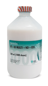 NOBILIS RT+IBMULTI+ND+EDS 1X1000 DS/500ML
