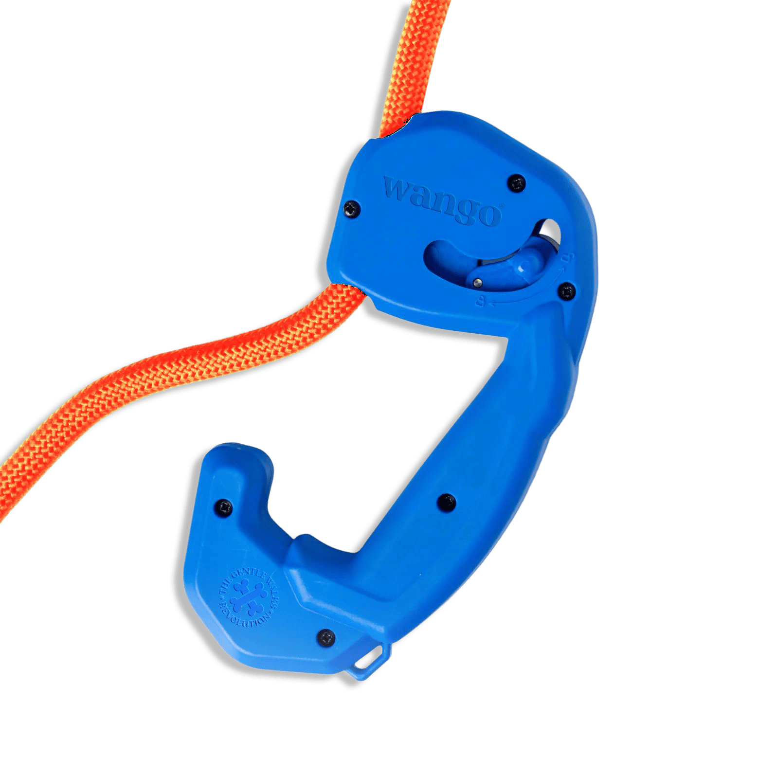 WANGO CORREA CONTROL GLOW AZUL 2M