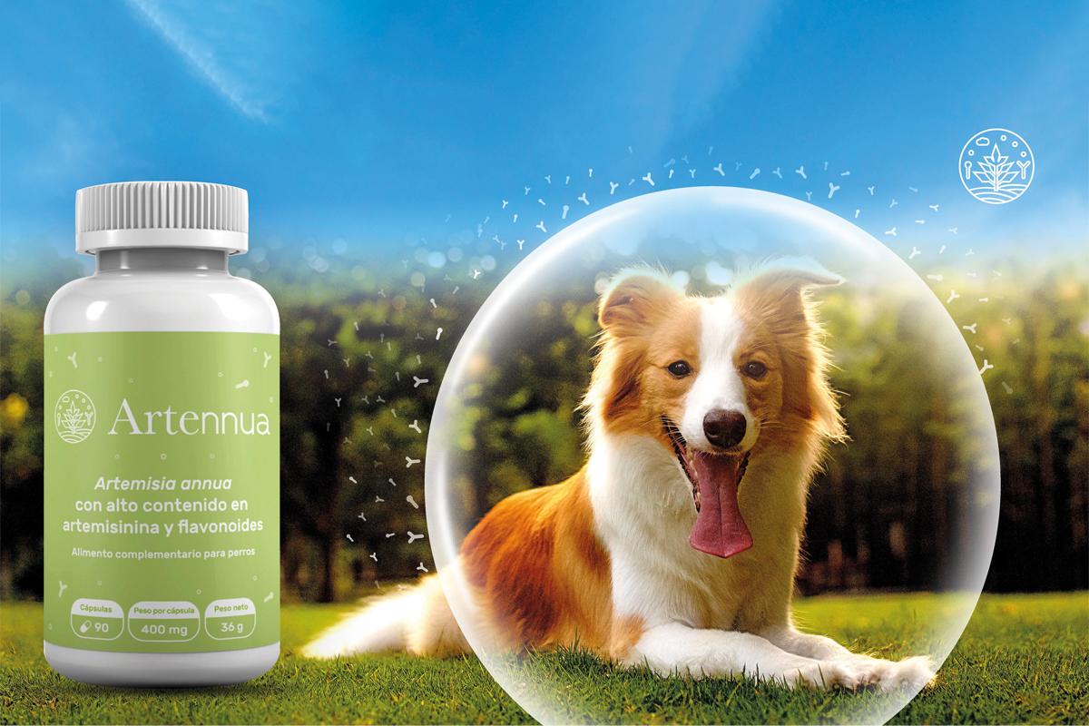 ARTENNUA 90 CAPSULAS