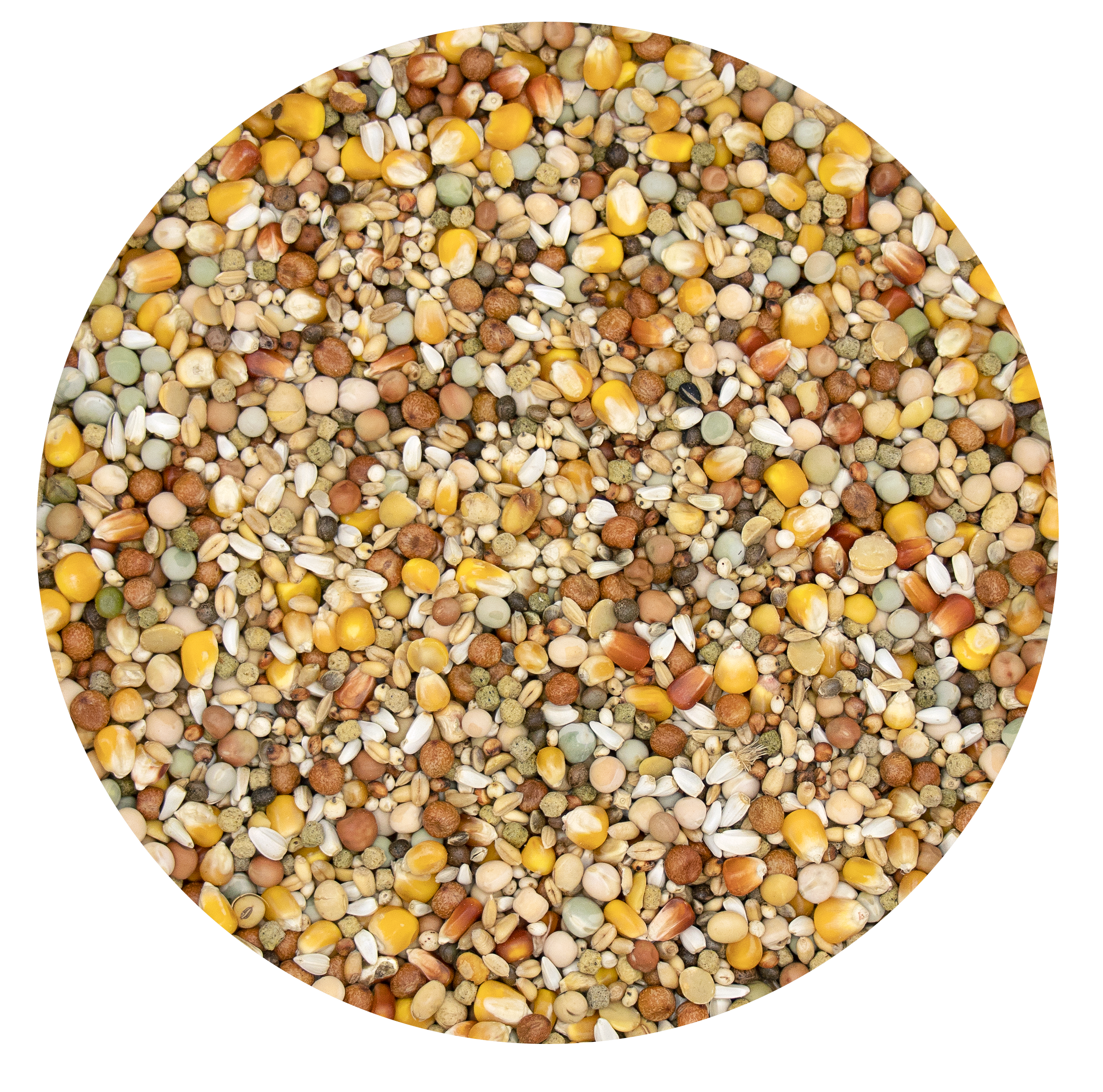 PLUS I.C. START PLUS 20 KG