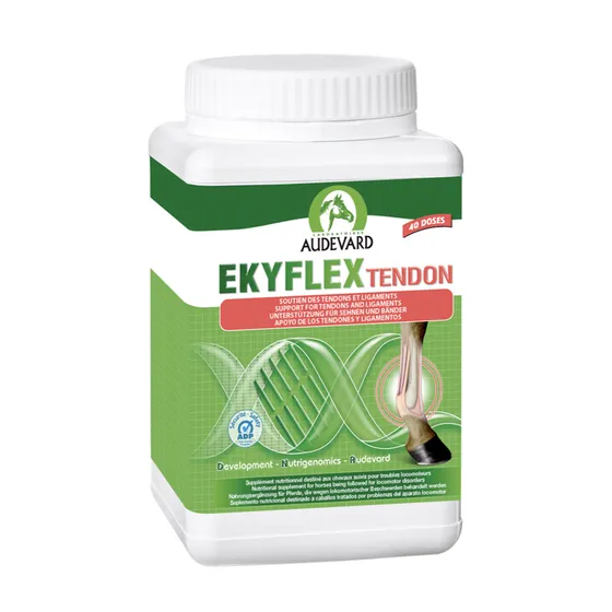 EKYFLEX TENDON 600G AUDEVARD