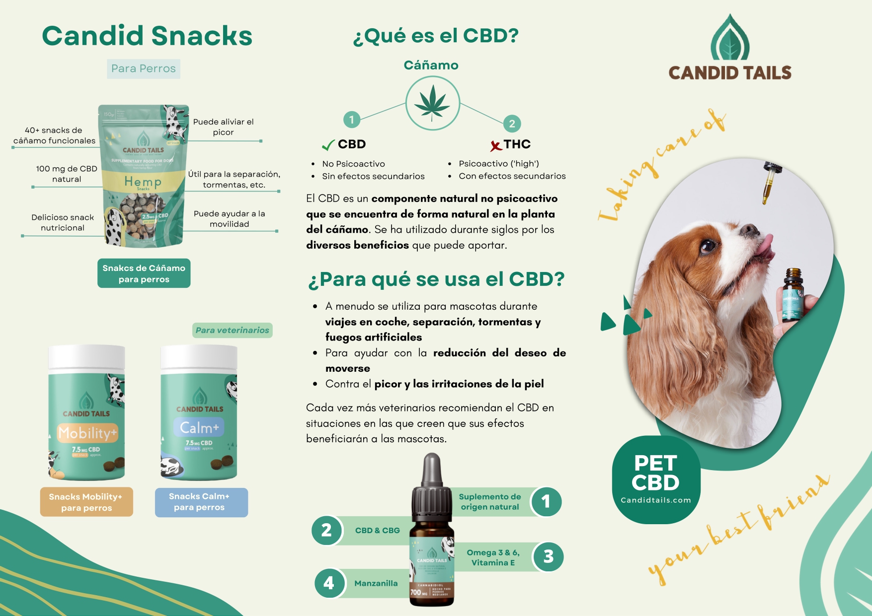 CBD perros y gatos
