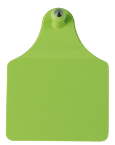 CROTAL CORPLUS VERDE NUMERADO