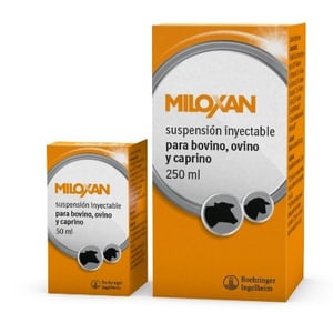 MILOXAN 50 ML