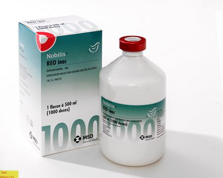 NOBILIS REO INAC 1X1000 DS / 500 ML (*)
