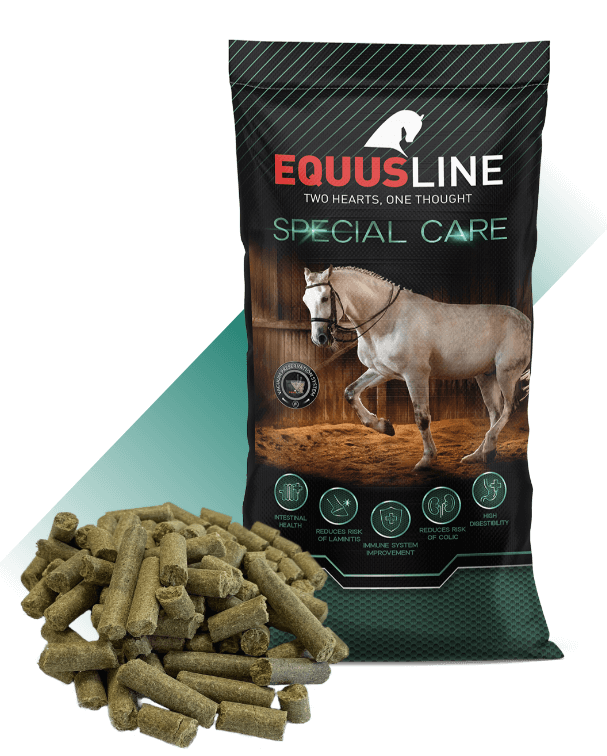 EQUUS LINE DIGEST GS SACO 20 KG