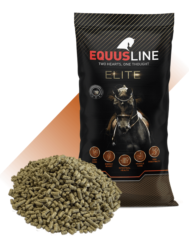 EQUUS LINE BALANCER GS SACO 20 KG