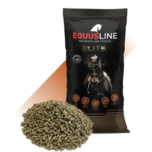 EQUUS LINE BALANCER GS SACO 20 KG