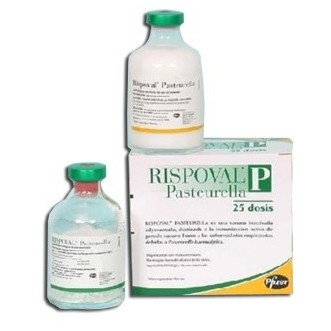 RISPOVAL PASTEURELLA 25 DS