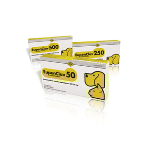 EUPENCLAV 250 MG 10 COMPRIMIDOS