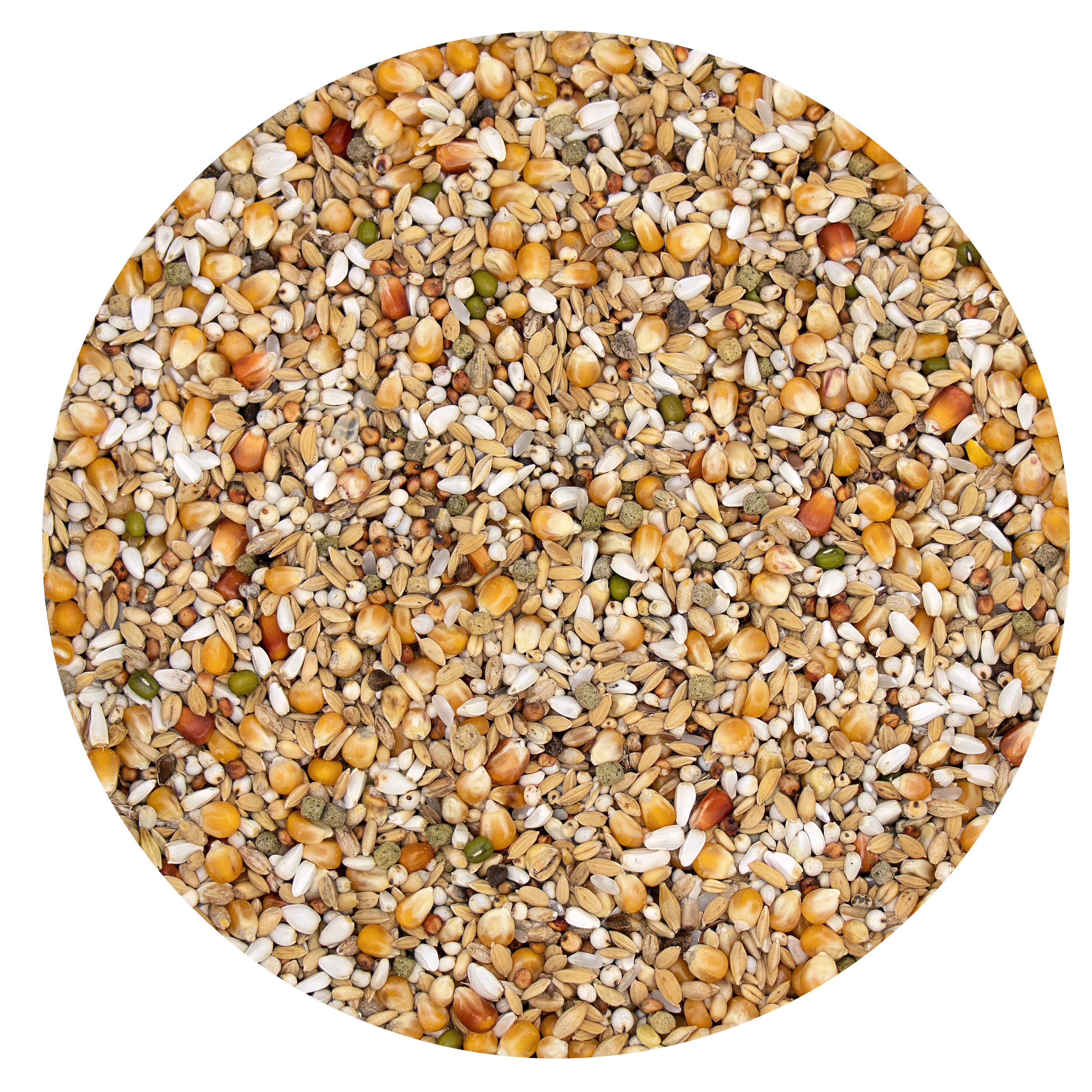 PLUS I.C.+ GERRY 20 KG