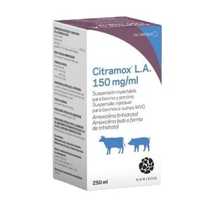 CITRAMOX LA 150 MG/ML 250 ML