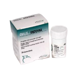 OVILIS ENZOVAX 20 DS