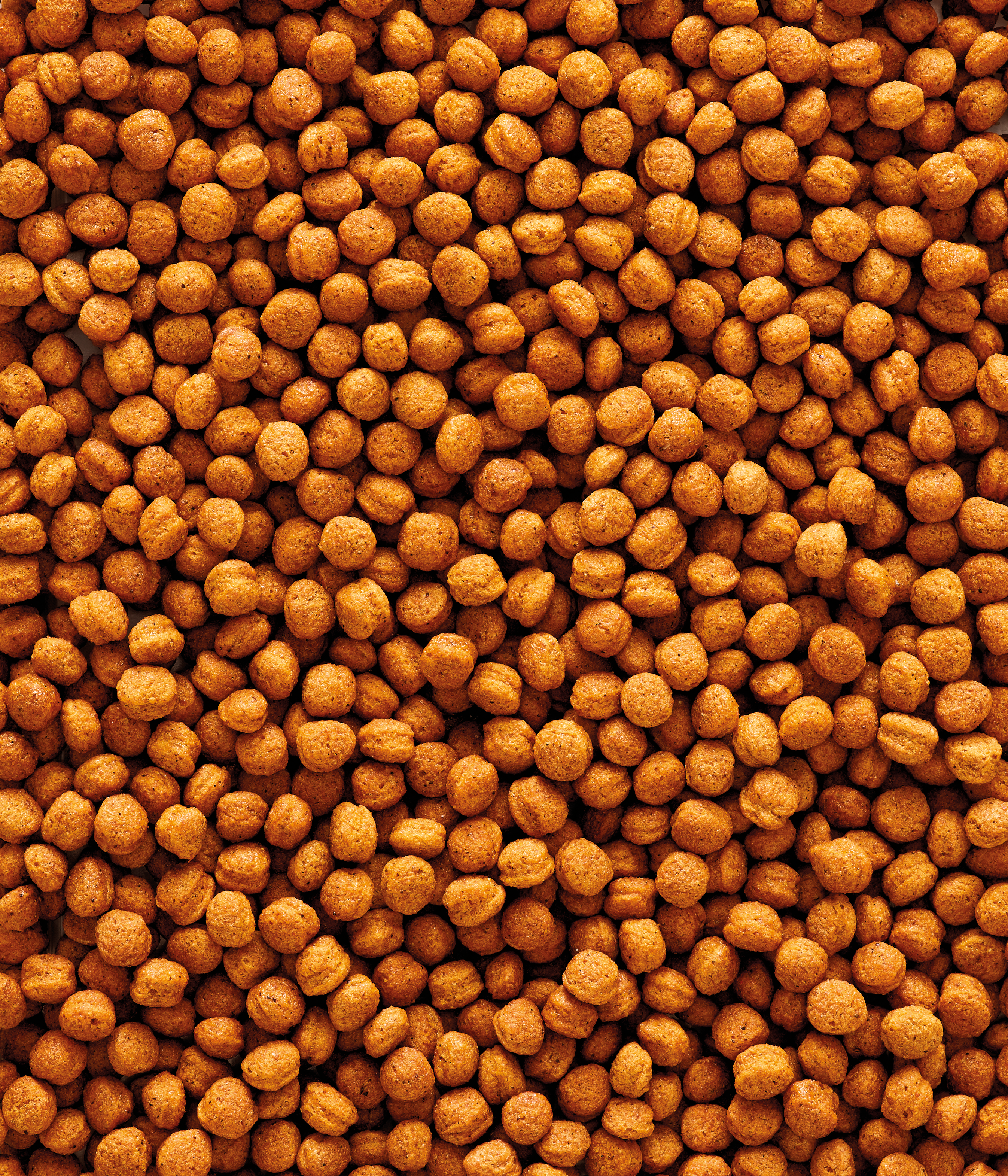 Nutribird T16 Alimento De Mantenimiento Para Grandes Aves Frugívoras E Insectívoras 10 Kg