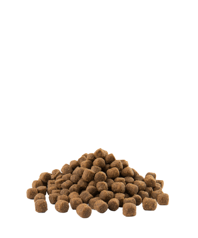 Opti Life | Pienso para Perros Adultos de Razas Pequeñas con Digestión Sensible | Cordero y Arroz | 2,5 kg 