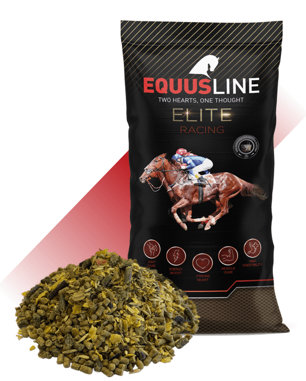 EQUUS LINE RACING MIX MS SACO 20 KG