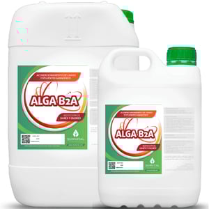 ALGA B2A 25L