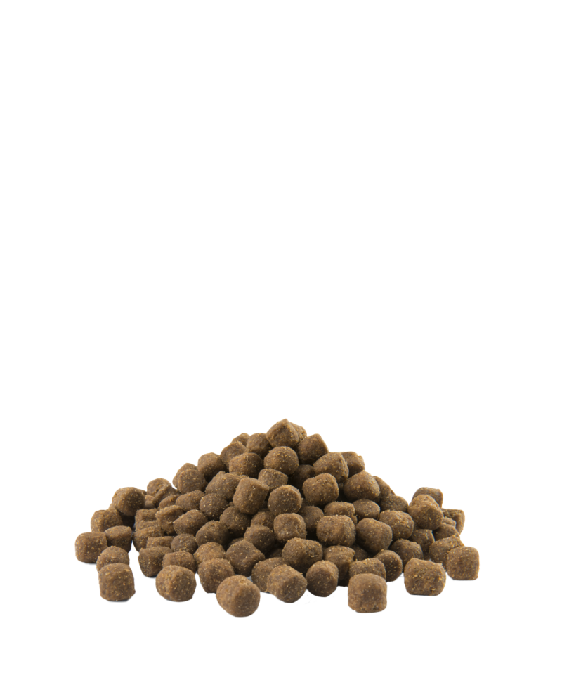 Opti Life | Pienso para Perros Adultos de Razas Pequeñas con Digestión Sensible | Cordero y Arroz | 7,5 kg