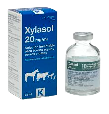 XYLASOL 20MG/ML 25ML (AV)