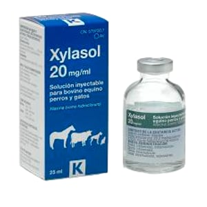 XYLASOL 20MG/ML 25ML (AV)