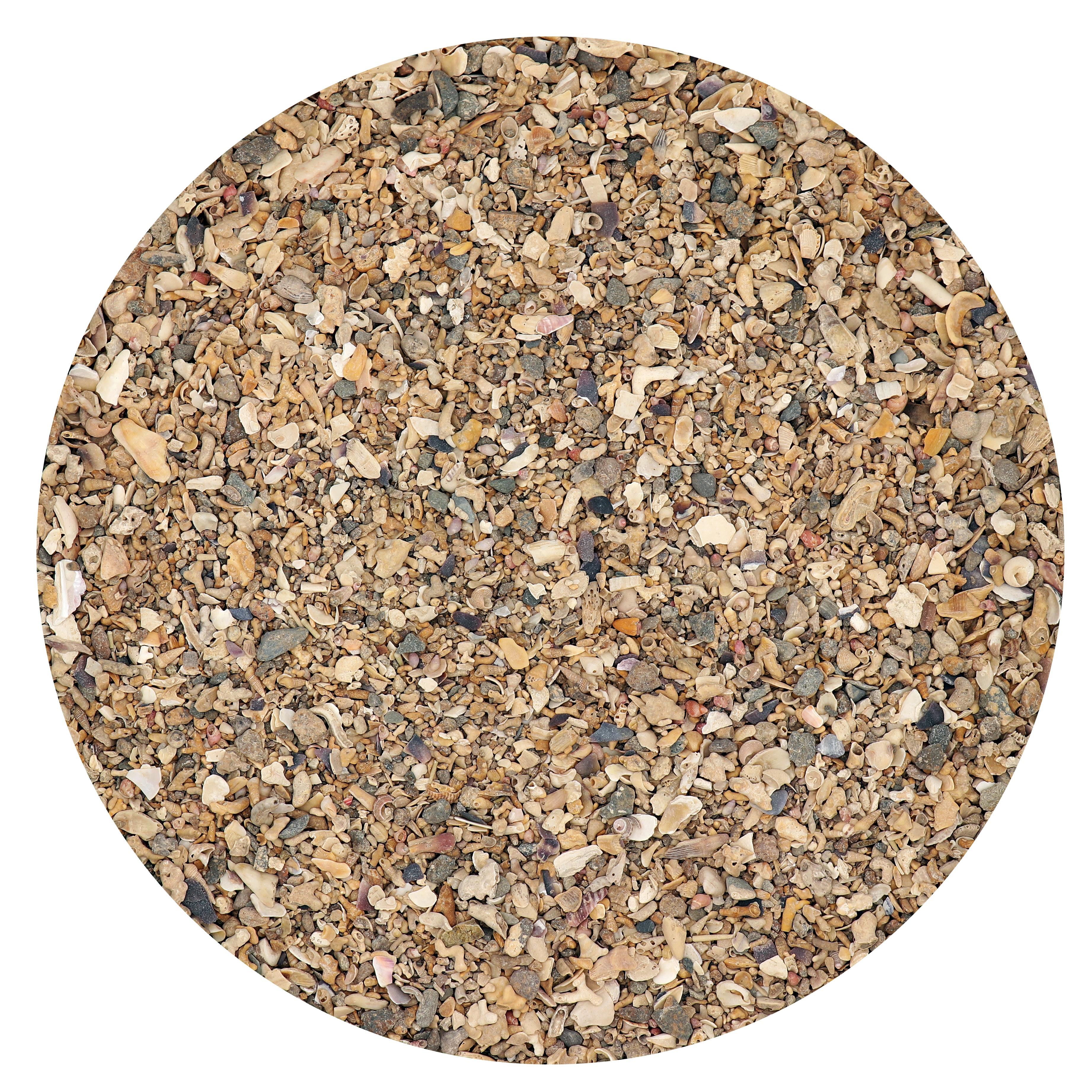 COLOMBINE SEAWEED 2,5 KG