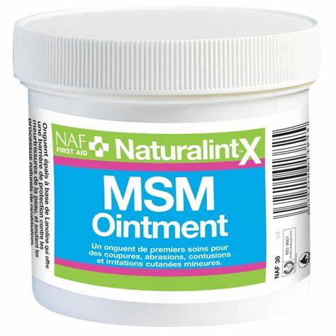 MSM OINTMENT 250 GR