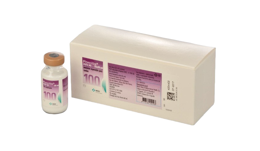 PORCILIS LAWSONIA IDAL 10X100 DS