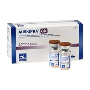 AUSKIPRA-GN/W 10x50 DS + DIL