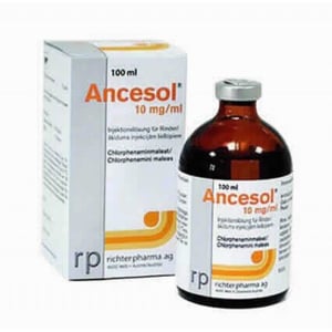 ANCESOL 10 MG/ML SI BOVINO 100 ML (AV)