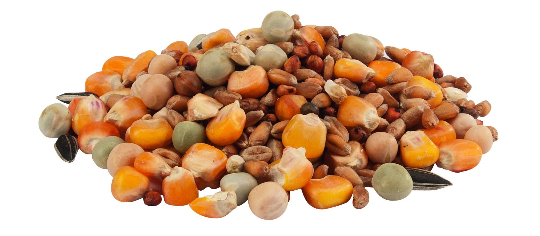 COUNTRY'S BEST GRA-MIX PALOMAS CRÍA ECO 20 KG