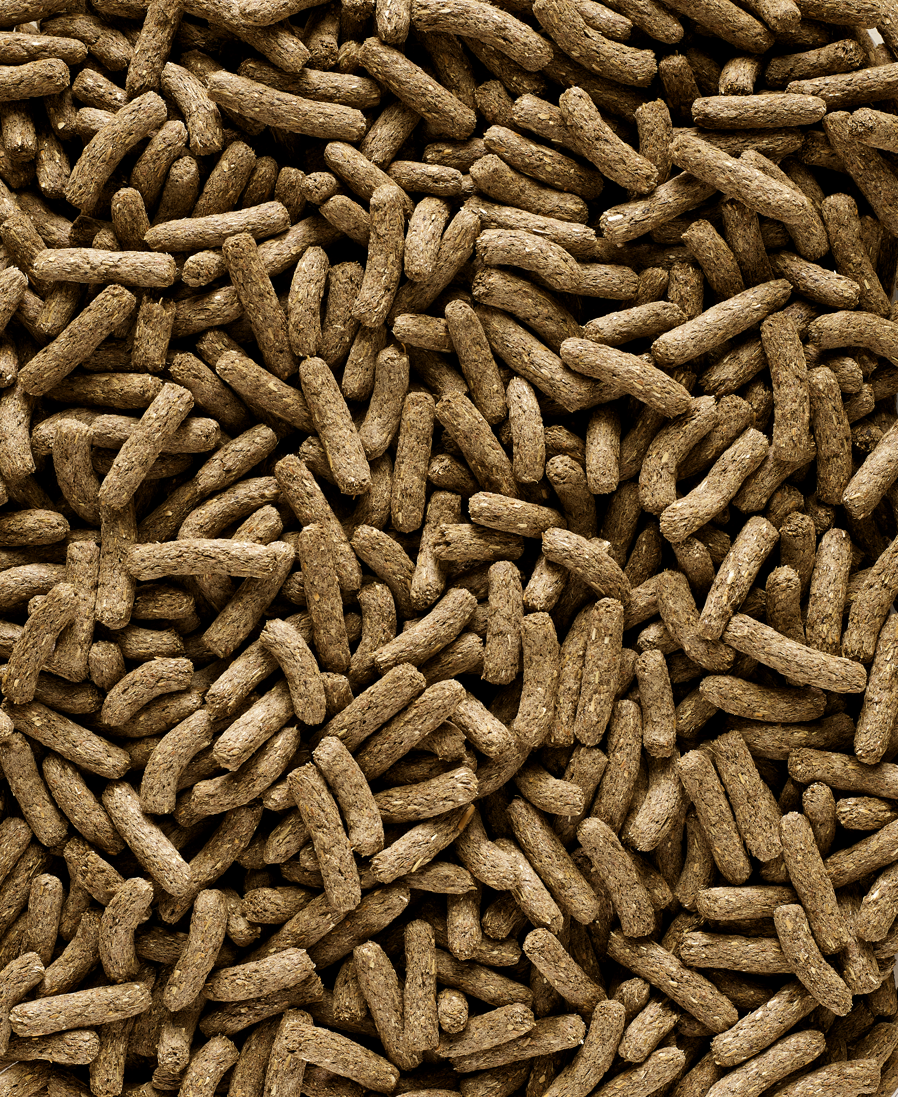 Complet Cuni Adult Pienso Para Conejos Adultos 500 Gr